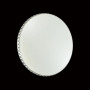 Настенно-потолочный светильник Dina 2077/DL